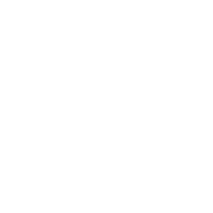YETI
