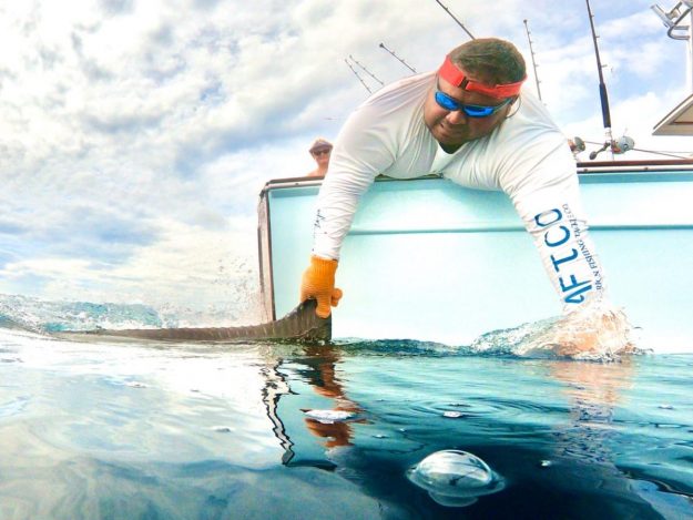 0e7e5323-bed8-4dfa-923f-d737df0d892a